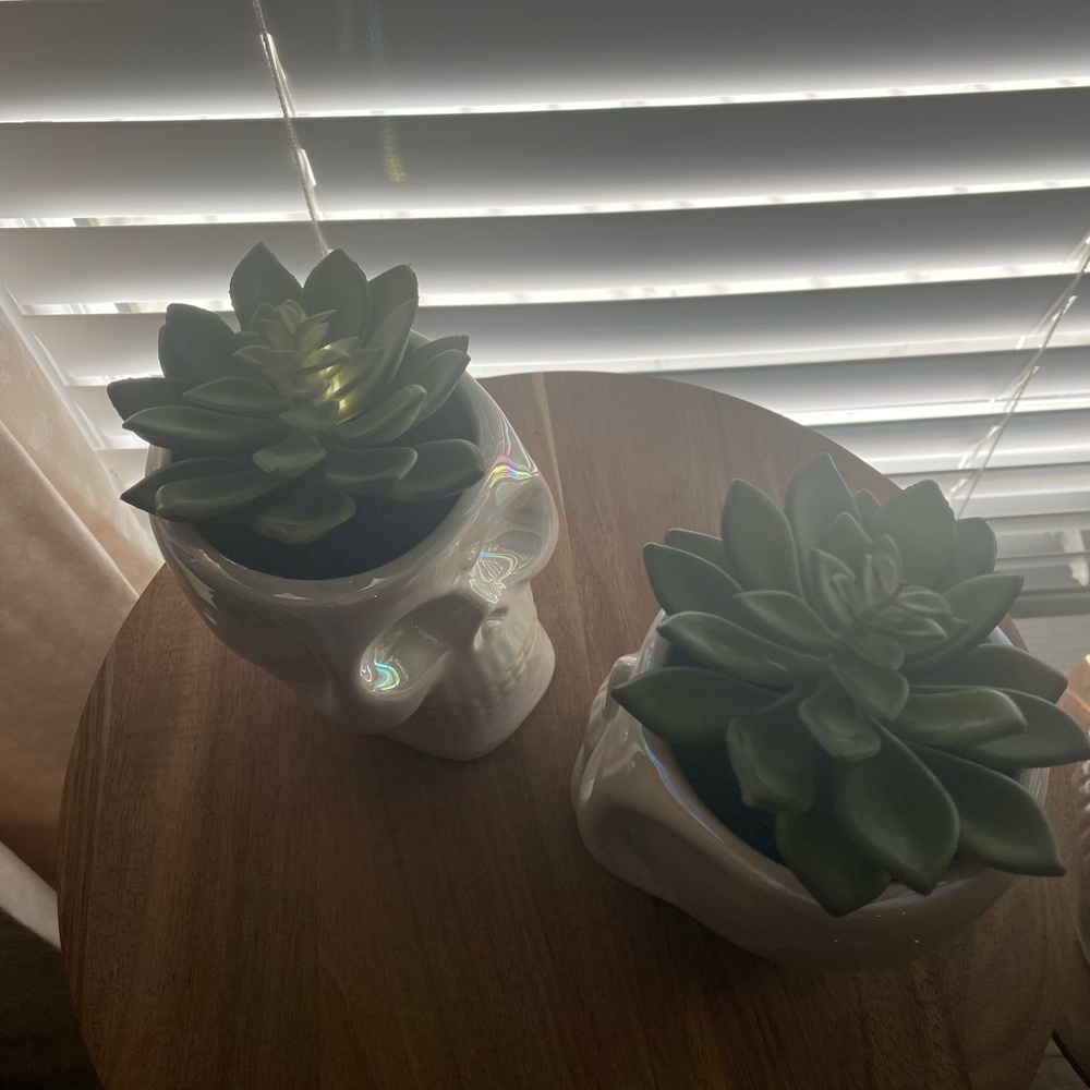 Iridescent Skull Planters with Faux Succulents Halloween Decor - Picture 7 of 8